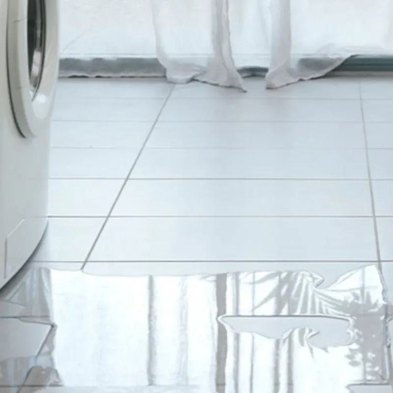Appliance Leak Cleanup in Cloverly, MD