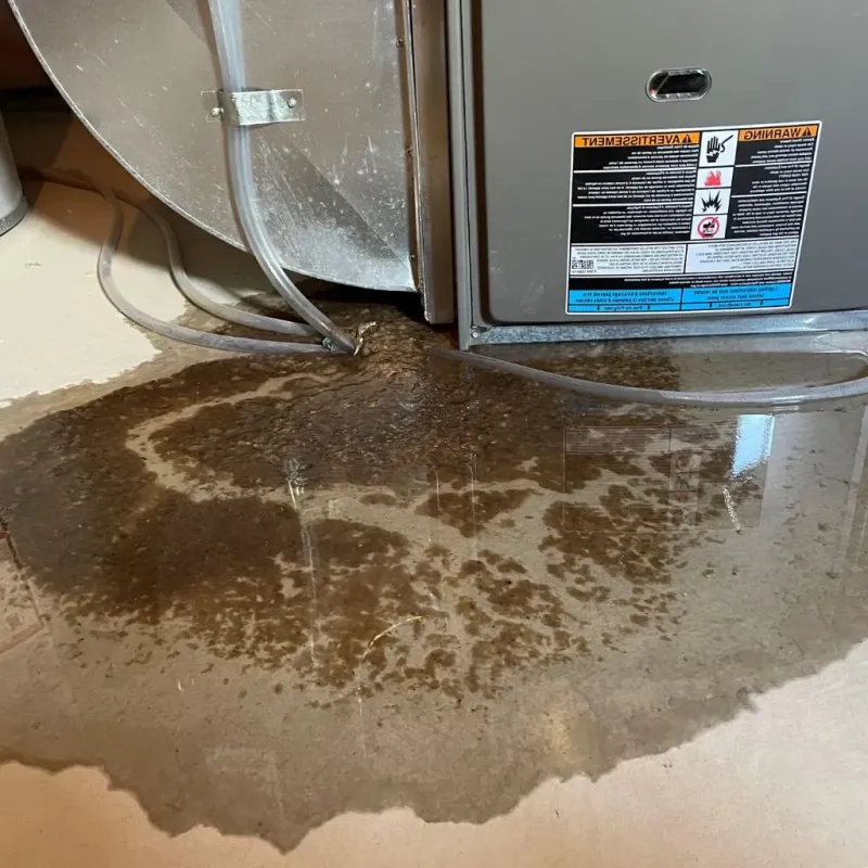 Pipe Burst and Leak Restoration in Cloverly, MD