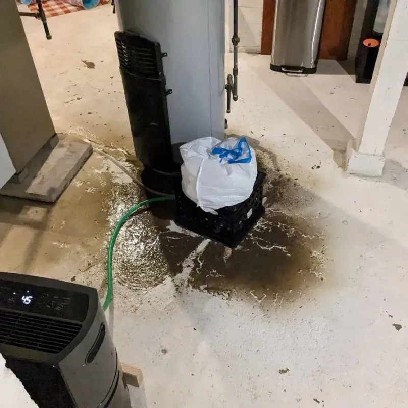Sewage Backup Cleanup Service in Cloverly, MD